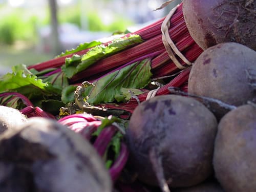 Judge's ruling on GE beets exposes inherent danger in prevailing food system