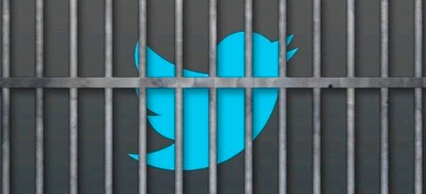 Fake Twitter Accounts