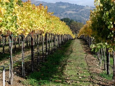 Independence of California Ag Commissioners in doubt