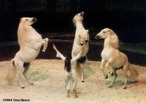 cavalia-2879