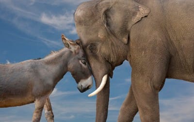 Debt ceiling debacle highlights Democrat-Republican dysfunctionality