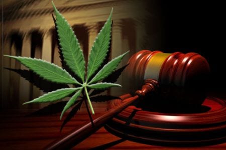 marijuana court