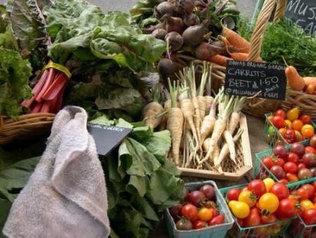 Food policy reform advocates seek self-sustainable system by 2030 in California
