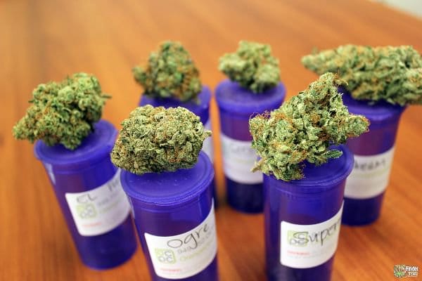 Attempts to Legalize Marijuana Legalize Marijuana, Colorado, Washington, and Oregon