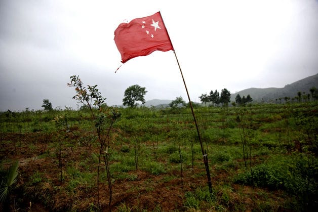 sino_forest_corp