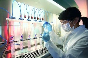 Assessing the scientific results of California's 2004 stem cell research initiative