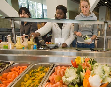 25 California universities make Princeton Review's green colleges list