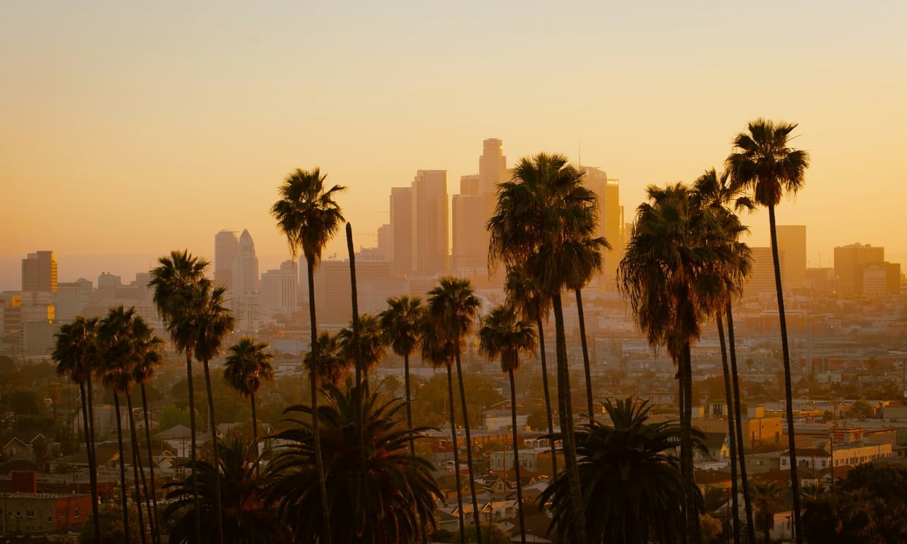 Peaceful, and Violent, Protests in Los Angeles