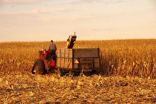 Outdated Caucus System in Iowa Leaves Out 90% of Voters