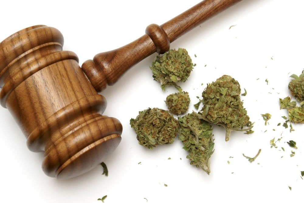 ACLU Assembles Panel To Study Marijuana Legalization in California