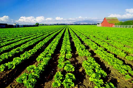 A Farm Bill to Save The Earth, Fix Health Care, and Create Jobs