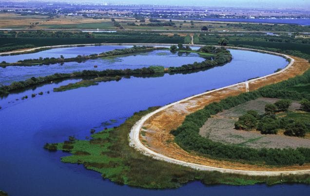 California Water Policy: Driest Year in State History Leads to Debate