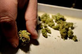 Will Oklahoma Surprise Nation By Becoming Next State to Legalize Pot?