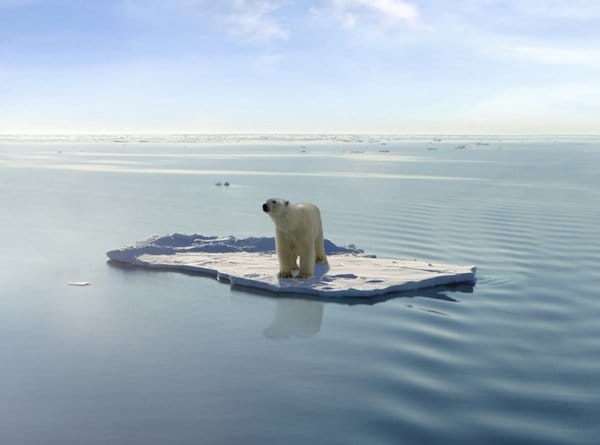 42% of Americans Say Global Warming is Exaggerated, Poll Reveals