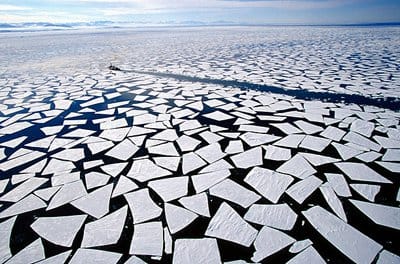 How Cognitive Biases Prevent us From Doing Anything about Climate Change