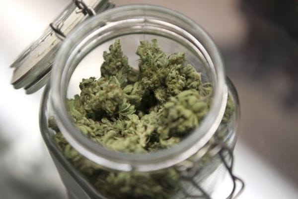 2 States, D.C. to Let Voters Decide Fate of Marijuana Legalization