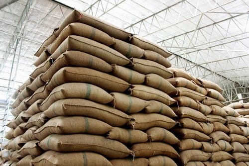 Farmers, Industry Leaders Excited About Future of Industrial Hemp in Kentucky