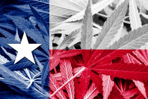 Marijuana Legalization Advocates Have Strong Ally in Texas... God