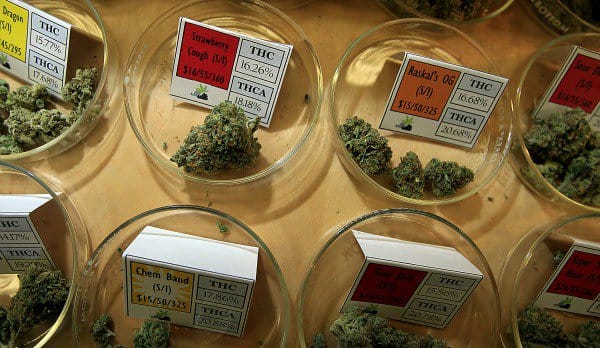 Illinois Governor Refuses to Expand Medical Marijuana Program to Include Veterans Suffering from PTSD