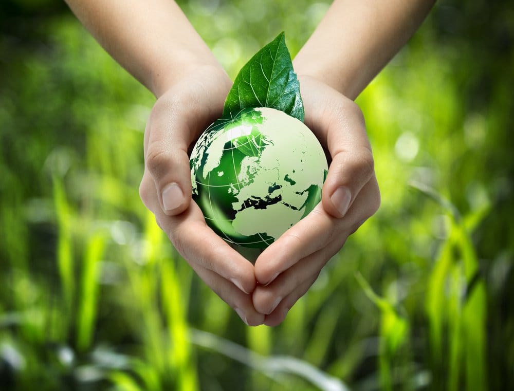 Green Energy: The Future is Now