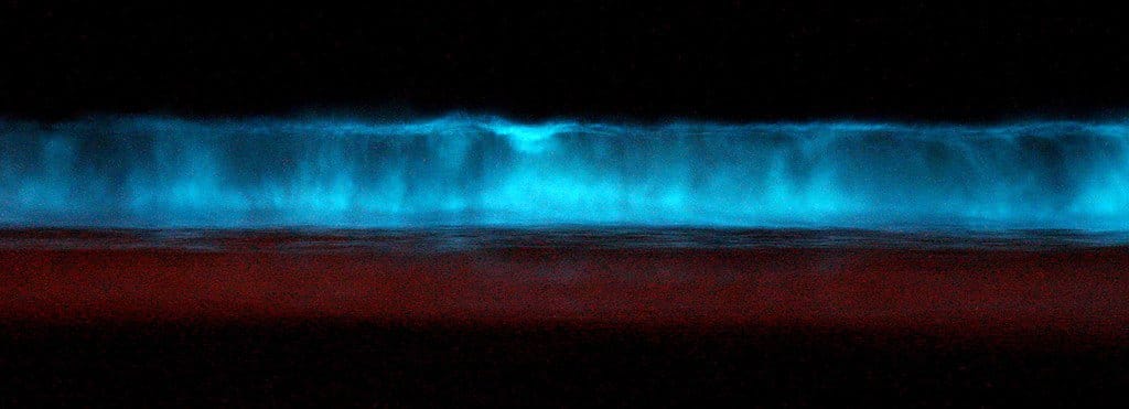 California’s Strange Truth: Impending Blue Wave or Spreading Red Tide?
