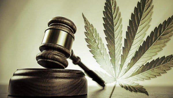 New Cannabis Initiative Offers Solutions for Drug Testing, DUIs