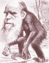 Intelligent Design, Dumb Luck, and God