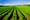 A Farm Bill to Save The Earth, Fix Health Care, and Create Jobs