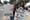 College Campuses: The American Battleground for the Israeli-Palestinian Conflict
