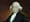 Looking to the Founders: Congressional Residency
