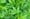 San Diego Councilman Mark Kersey To Introduce Marijuana Tax Measure
