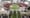 SDSU Unveils $250 Million Stadium for Mission Valley