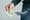 America's Poverty Crisis Is Worse Than You Think