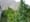 A History of Cannabis' Legal Status in America
