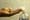 Experts offer guidebook on elections during Covid-19