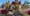 Christmas is ‘The Point’ at Point Loma’s Portuguese Hall Celebration