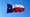 How Texas Could Save Over $6 Million on Flawed Elections